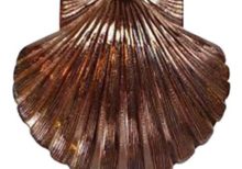 St. Thomas of Acon Shells - Different Sizes and Colors