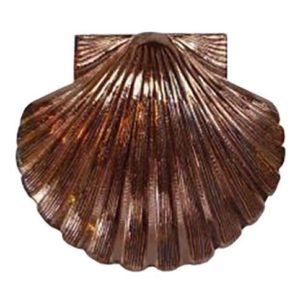 St. Thomas of Acon Shells - Different Sizes and Colors