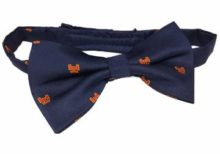 Masonic Royal Arch RA Bow Tie with Taus
